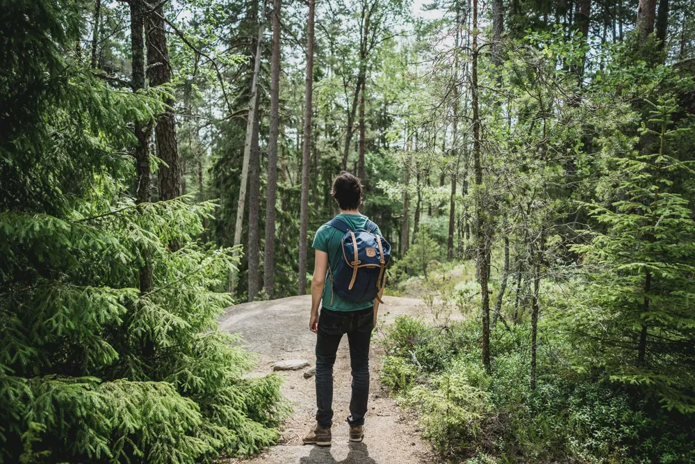 Hiker on a path through a pine forest