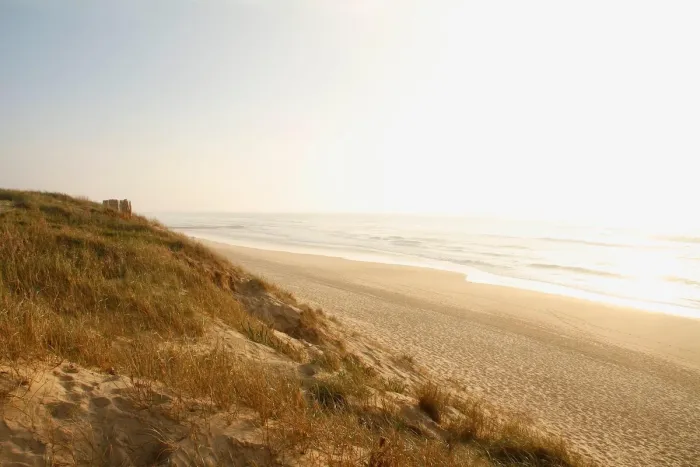 Dune and beach at Lespecier