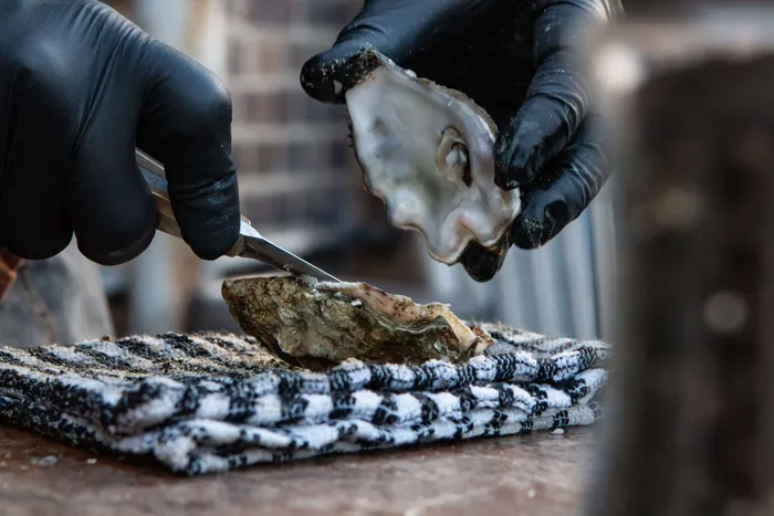 Shucking an oyster